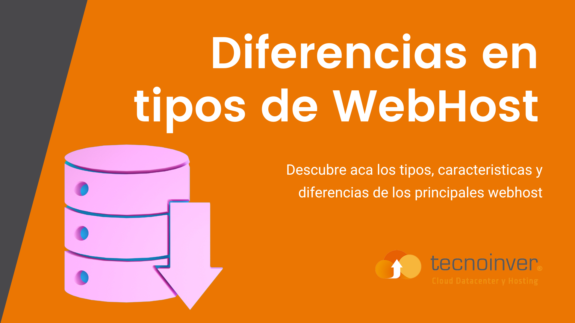 Webhost Definición y características